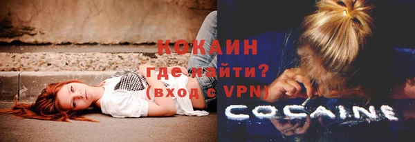 прущие грибы Балабаново