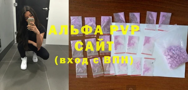 прущие грибы Балабаново