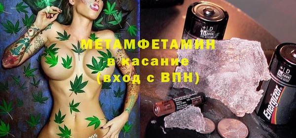 прущие грибы Балабаново