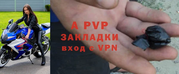 прущие грибы Балабаново