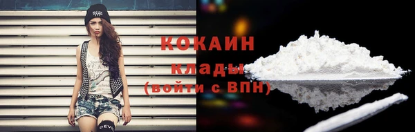 прущие грибы Балабаново