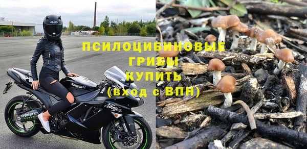 прущие грибы Балабаново